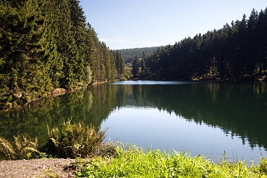Mittlerer Grumbacher Teich (2) Oberharzer Wasserwirtschaft Bilder